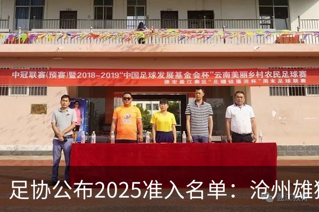 足协公布2025准入名单：沧州雄狮、广州队无缘